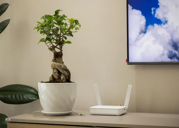 Endri's Apartament *